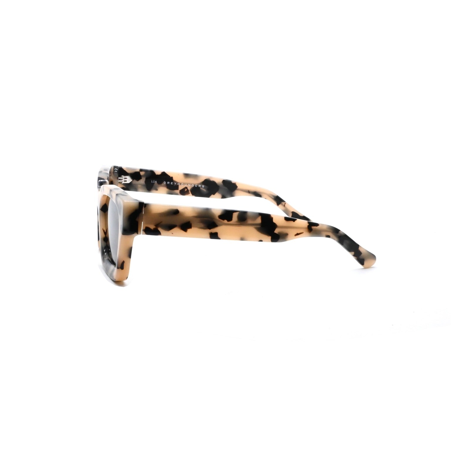 GREYHOUNDERS LUA C5 HAVANA 54
