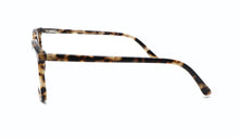 Cargar imagen en el visor de la galería, GREYHOUNDERS QUINN C2 54