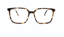 Cargar imagen en el visor de la galería, GREYHOUNDERS QUINN C2 54