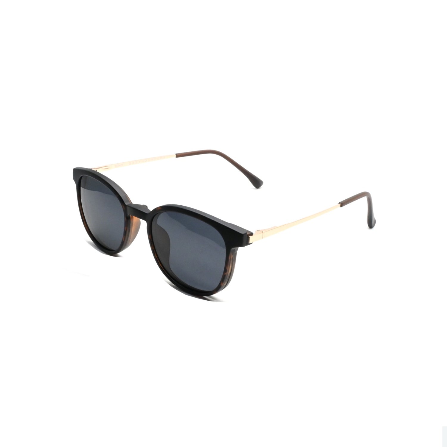 GREYHOUNDERS BONDI + CLIP-ON C2 HAVANA 51