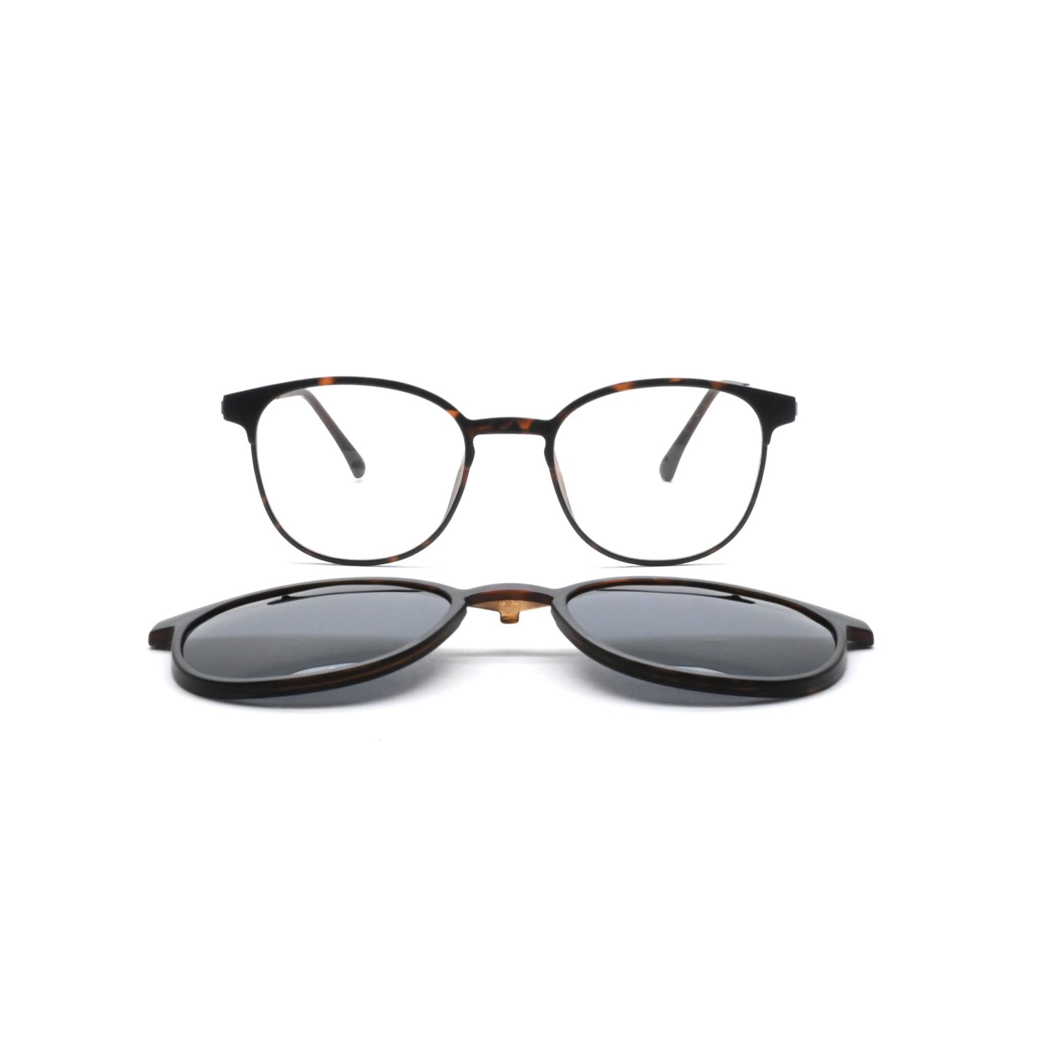 GREYHOUNDERS BONDI + CLIP-ON C2 HAVANA 51
