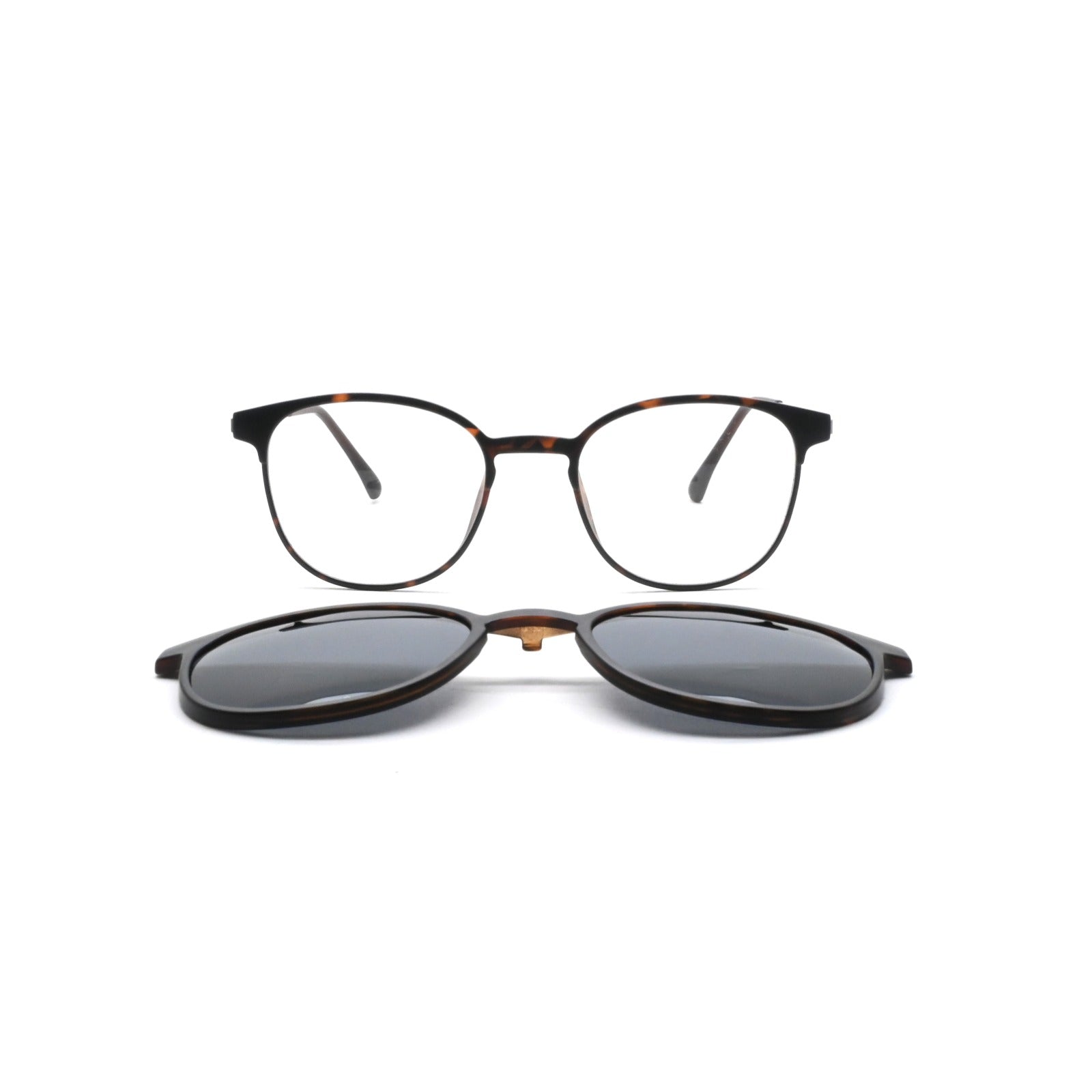 GREYHOUNDERS BONDI + CLIP-ON C2 HAVANA 51