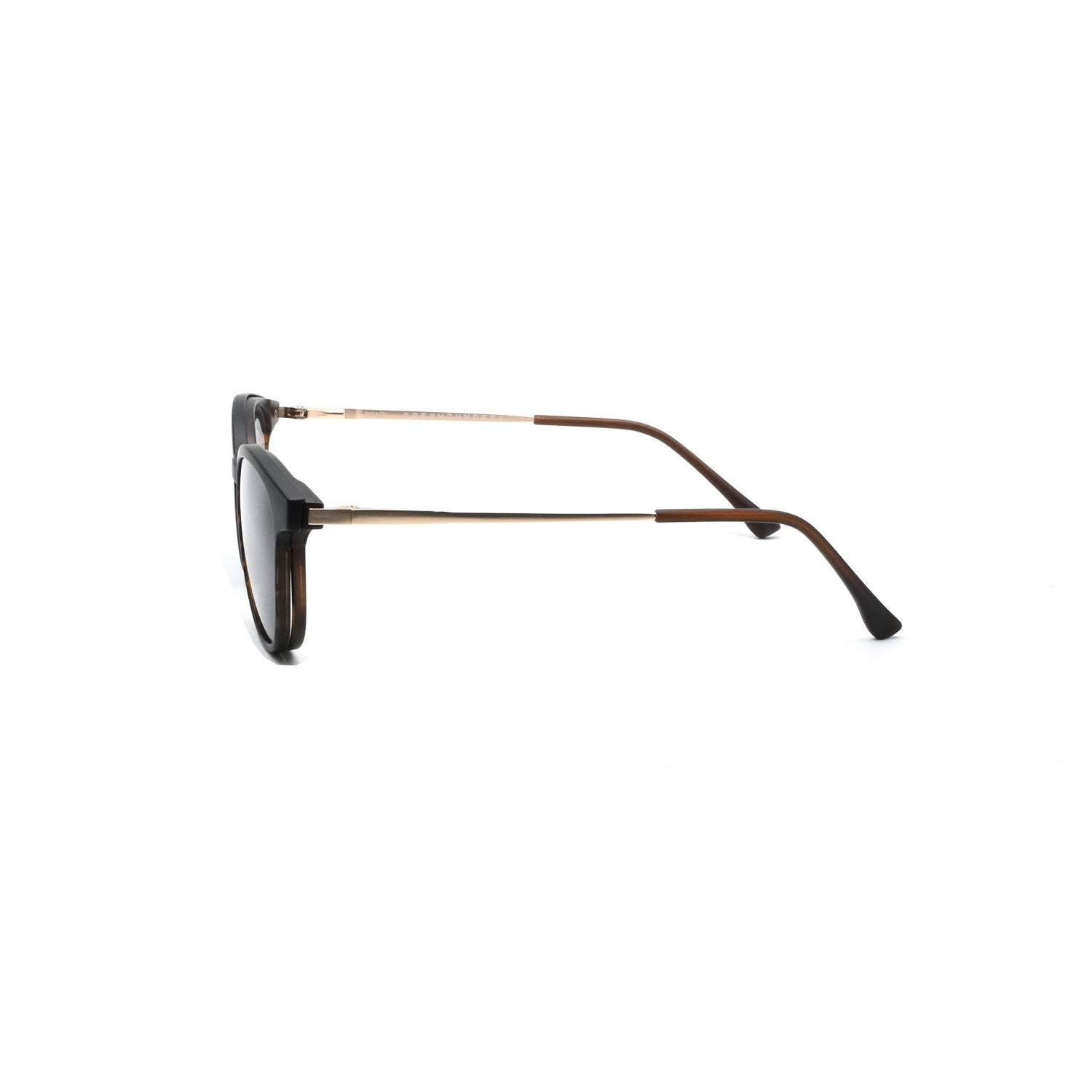 GREYHOUNDERS BONDI + CLIP-ON C2 HAVANA 51