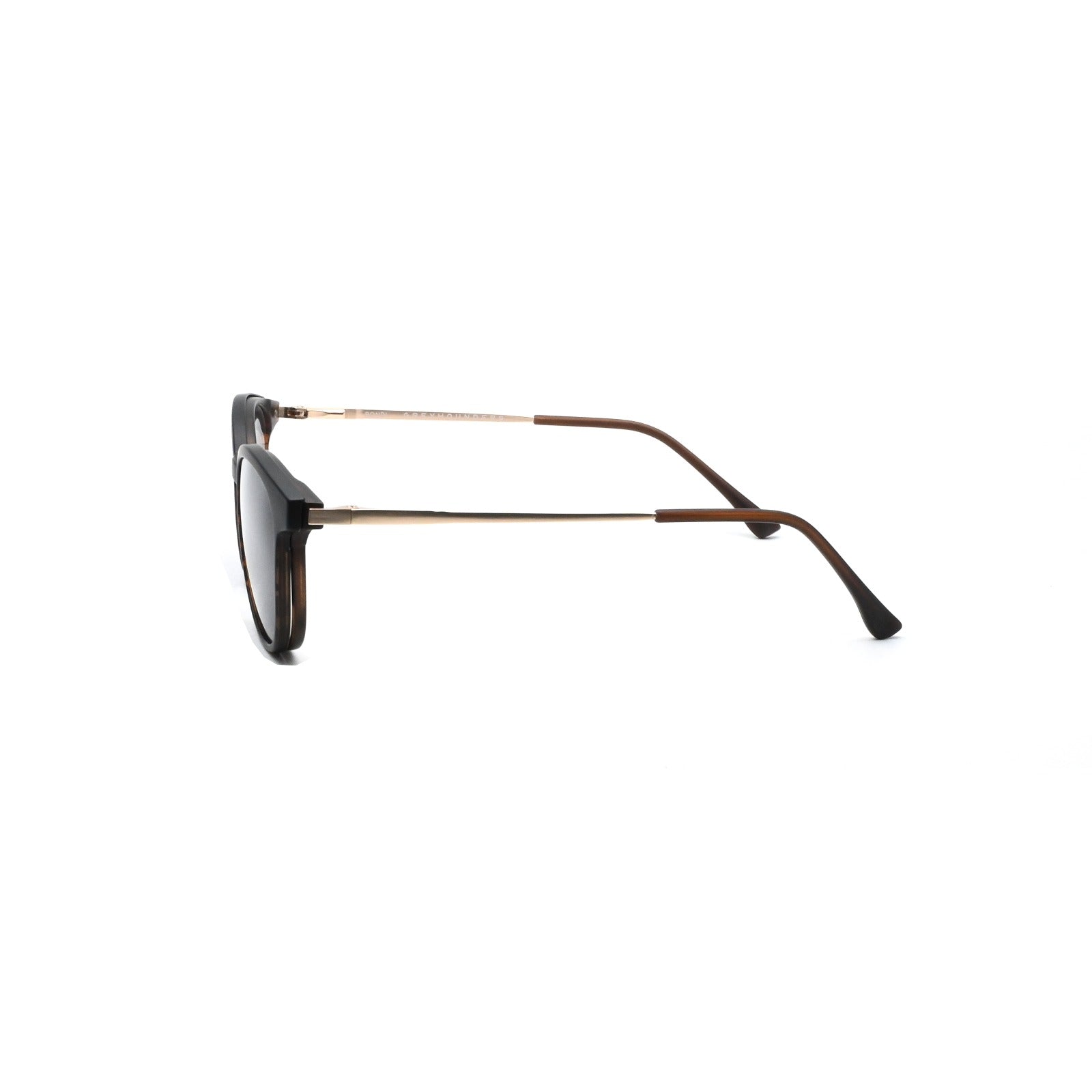 GREYHOUNDERS BONDI + CLIP-ON C2 HAVANA 51