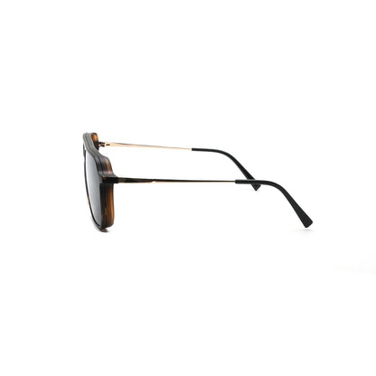 GREYHOUNDERS BROOME + CLIP-ON C2 HAVANA 56