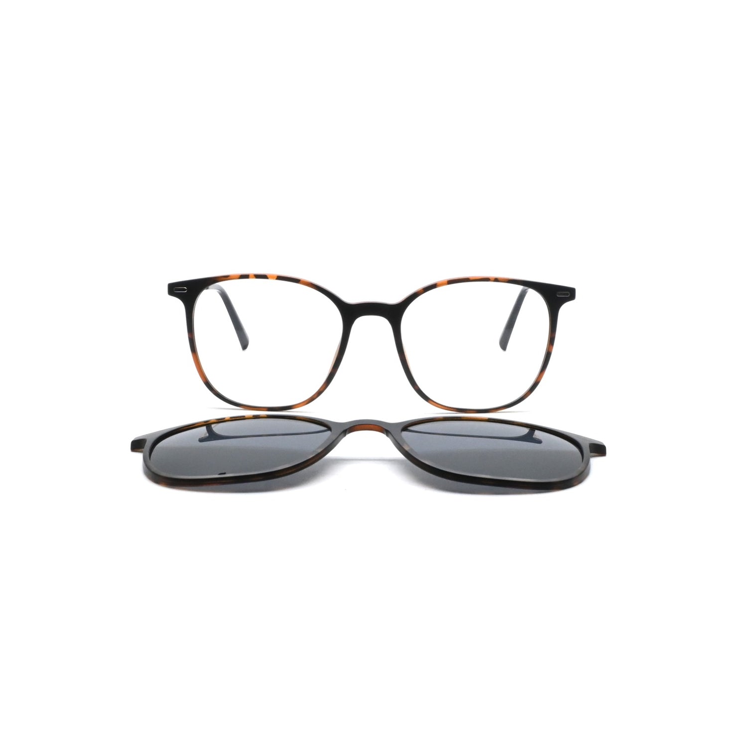 GREYHOUNDERS KILDA + CLIP-ON C2 HAVANA 52