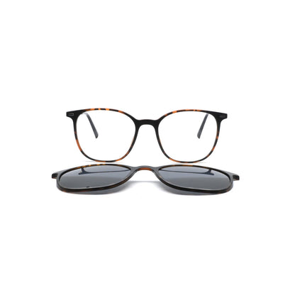 GREYHOUNDERS KILDA + CLIP-ON C2 HAVANA 52
