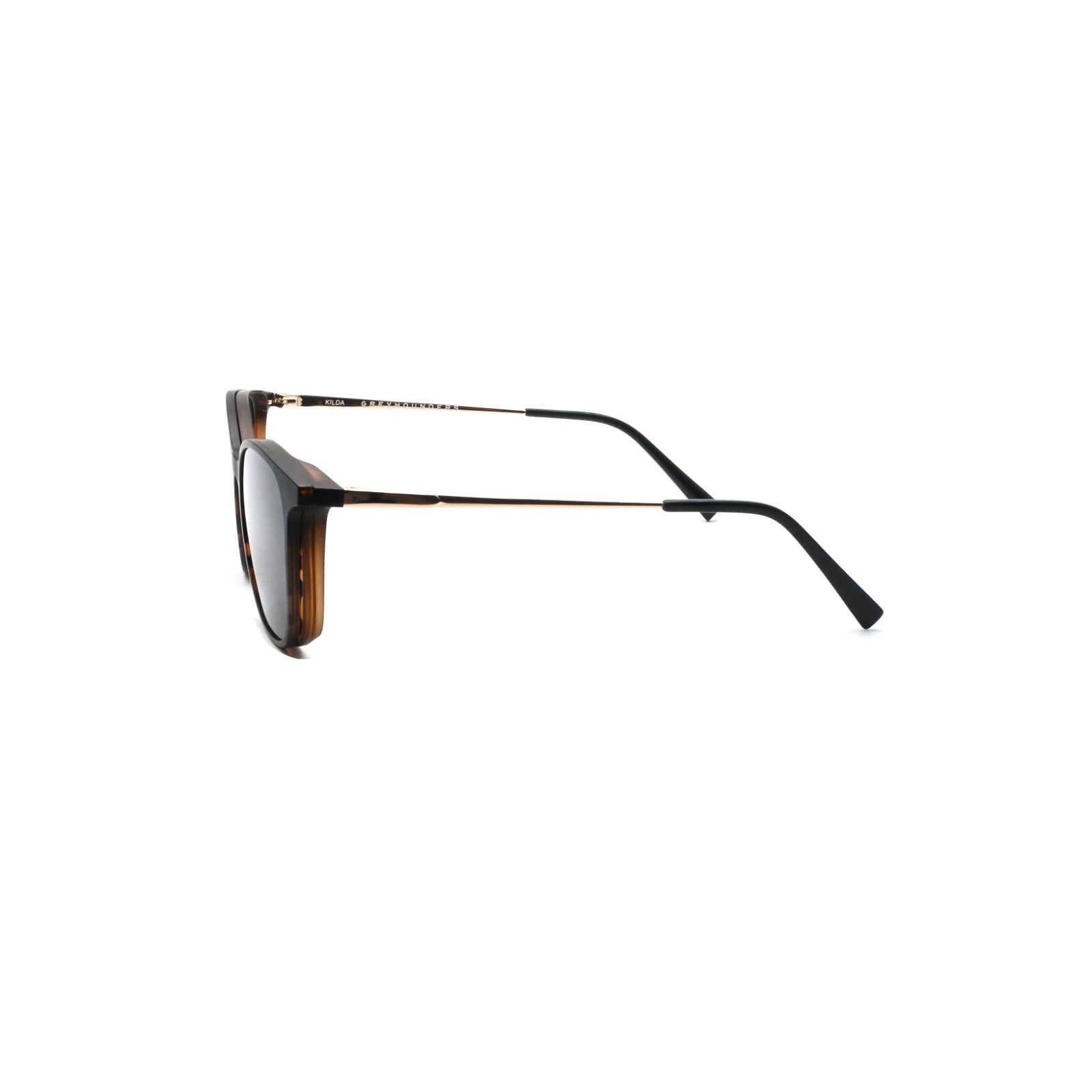 GREYHOUNDERS KILDA + CLIP-ON C2 HAVANA 52