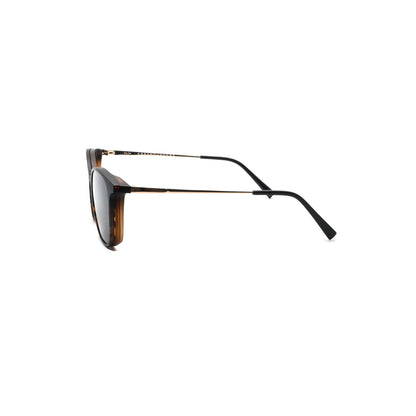 GREYHOUNDERS KILDA + CLIP-ON C2 HAVANA 52