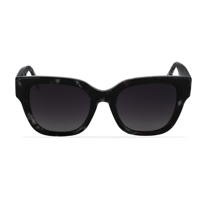 GREYHOUNDERS LYRA BLACK HABANA 52