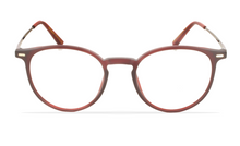 Cargar imagen en el visor de la galería, GREYHOUNDERS MELBOURNE C2 49
