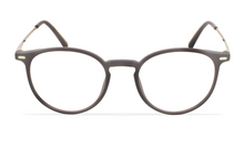 Cargar imagen en el visor de la galería, GREYHOUNDERS MELBOURNE C3 49
