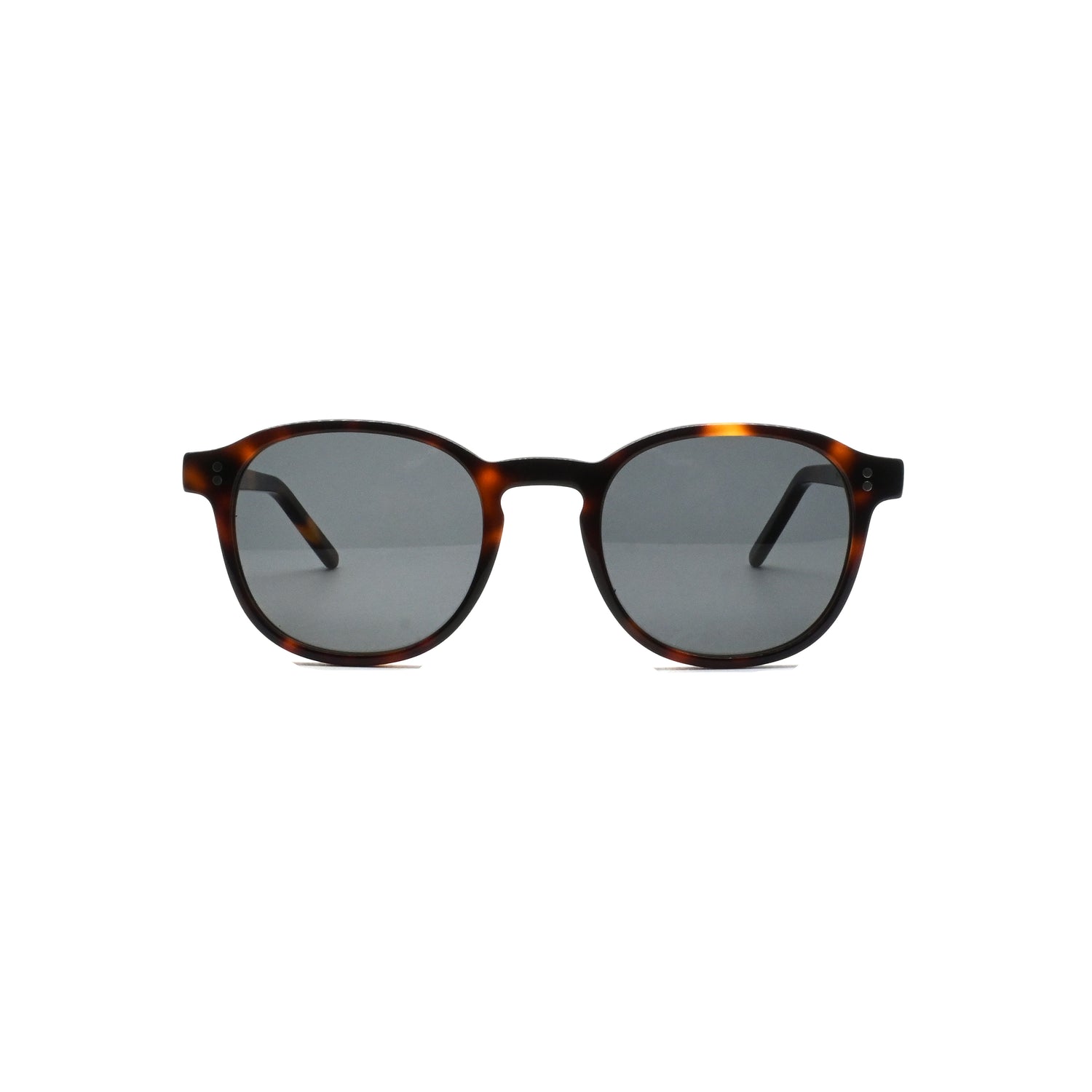 GREYHOUNDERS VINCENT SUN C3 HAVANA BROWN 48