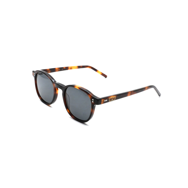 GREYHOUNDERS VINCENT SUN C3 HAVANA BROWN 48